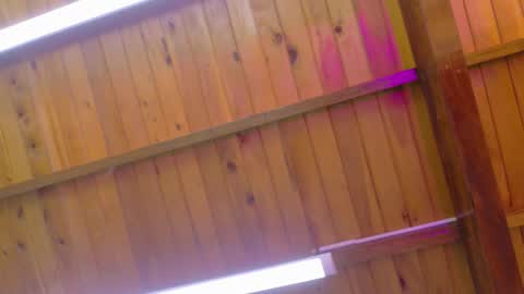  LIZBETH ROSS  online show from 01-09-26, 10:18