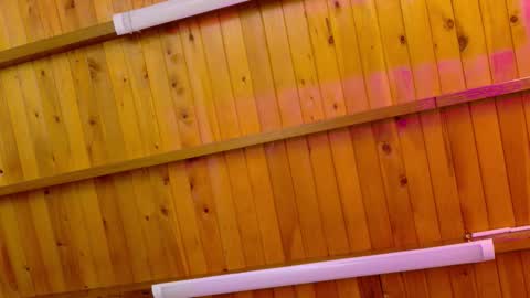  LIZBETH ROSS  online show from 01-12-26, 10:20