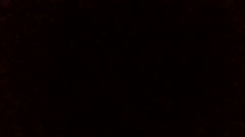 Lizzie Vonn online show from 04-25-26, 12:24