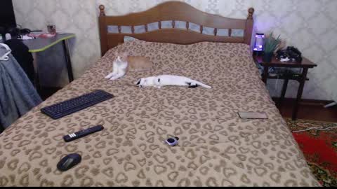 Sevy online show from 12-30-24, 12:11