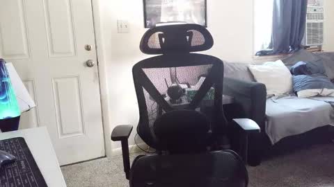 Snapshot of lngdickdaddy chatting on 01-05-26, 06:22 LongDick Daddy online show from 01-05-26, 06:22