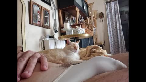 Snapshot of lo82 chatting on 10-03-25, 11:51 Lo82 online show from 10-03-25, 11:51