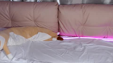 lolacash777 online show from 02-17-26, 08:26