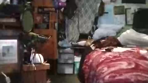 Mr. FogoDeChao online show from 03-06-26, 05:42