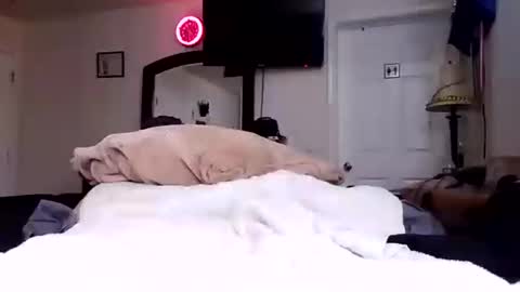 Snapshot of lookatmecum4you chatting on 10-17-25, 08:28 lookatmecum4you online show from 10-17-25, 08:28