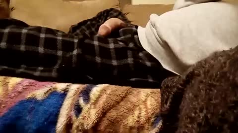 looking4bush online show from 12-03-24, 07:21