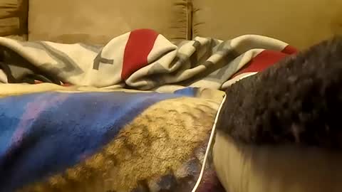 looking4bush online show from 01-19-26, 05:55