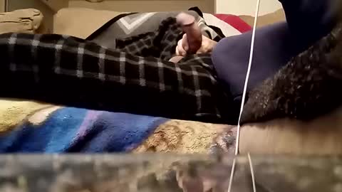 looking4bush online show from 03-18-26, 01:09