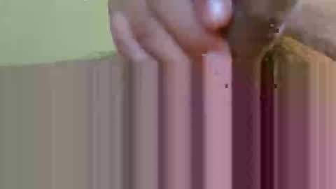 2791 3D online show from 02-12-26, 05:35