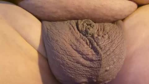 2791 3D online show from 04-23-26, 12:12