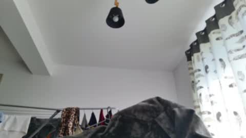 Snapshot of lorennameliyy chatting on 06-29-26, 06:52 Amelia online show from 06-29-26, 06:52