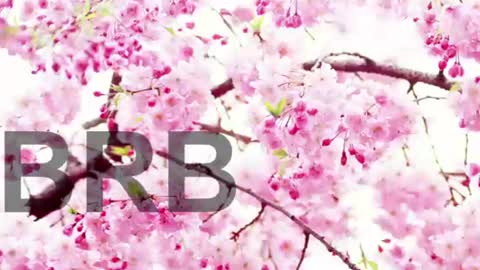 Lorraine online show from 06-09-26, 07:58