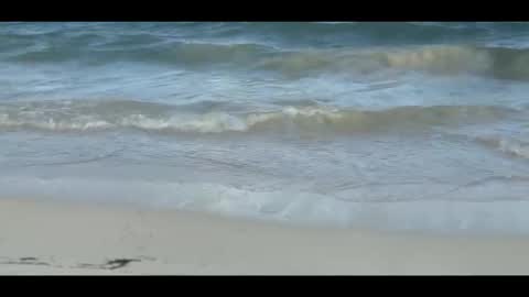 Louis online show from 11-05-25, 09:04