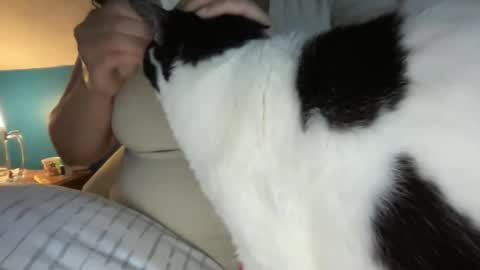 Kate online show from 04-25-26, 10:51