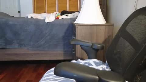 Amber online show from 11-03-25, 03:19