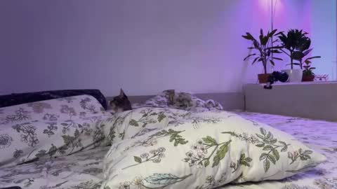 Elsa online show from 11-14-25, 06:34