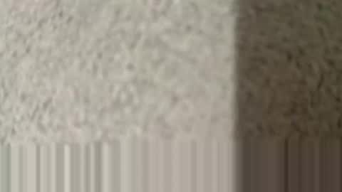 lovepan69 online show from 03-25-26, 02:28