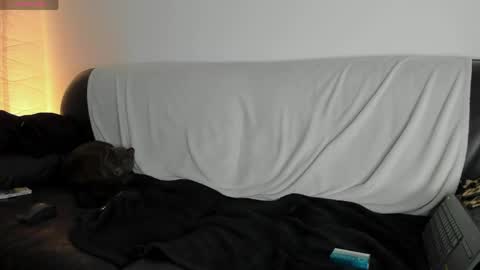 Snapshot of lovermike_ chatting on 05-25-26, 04:24 Mike online show from 05-25-26, 04:24