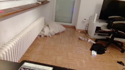 lu25humiliation online show from 01-10-25, 04:51