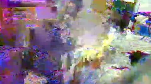 lu25humiliation online show from 10-21-25, 06:52