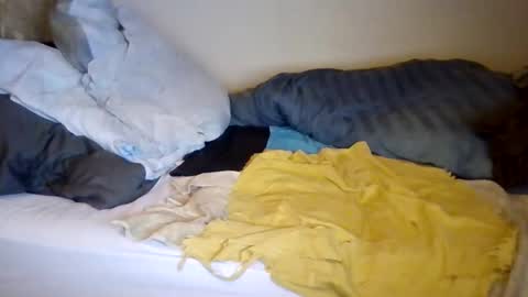 lu485947452685 online show from 12-19-25, 06:48