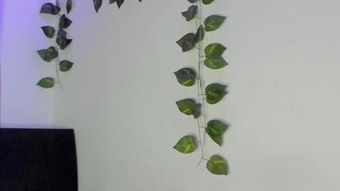 Jenn online show from 02-04-26, 01:44