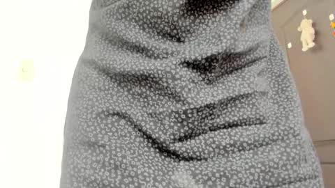 Lucia online show from 01-31-26, 07:11