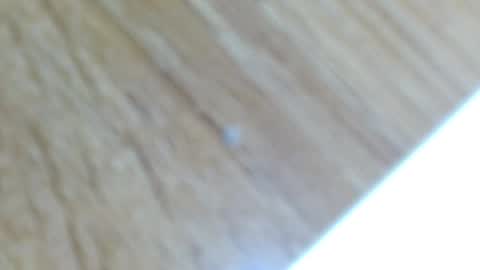 Lucie   online show from 12-13-24, 12:31