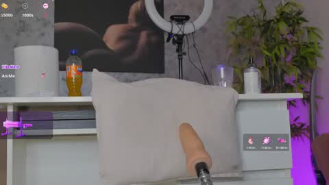 Snapshot of luckystrikee_ chatting on 02-08-25, 11:13 Alice online show from 02-08-25, 11:13