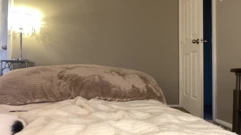 Lucy online show from 11-25-25, 09:59