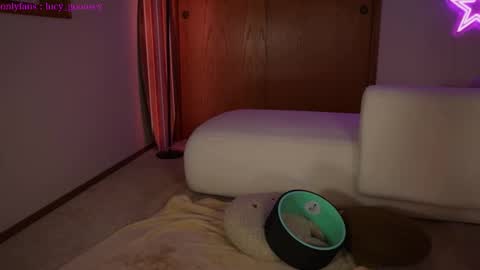 Snapshot of lucy_gooosey chatting on 02-03-25, 04:57 Lucy. online show from 02-03-25, 04:57