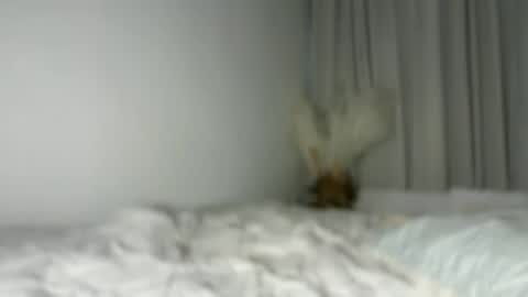 Snapshot of lucyforr chatting on 08-01-26, 04:23 lucyforr online show from 08-01-26, 04:23
