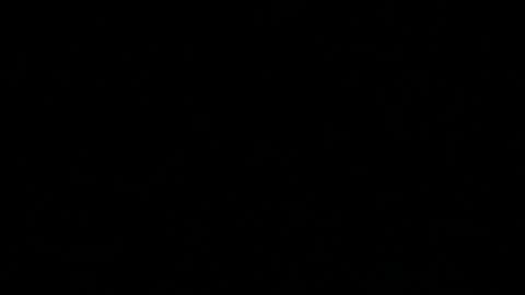 Skaluk online show from 04-12-26, 10:48