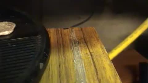 Snapshot of lukestarfckr chatting on 09-29-25, 07:19 lukestarfckr online show from 09-29-25, 07:19