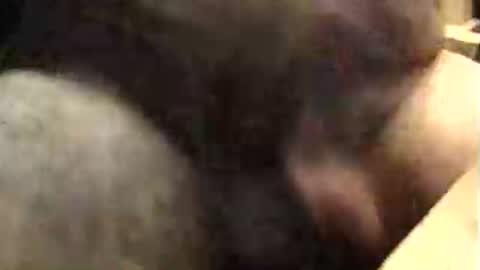 Snapshot of lukestarfckr chatting on 10-09-25, 09:40 lukestarfckr online show from 10-09-25, 09:40