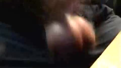 Snapshot of lukestarfckr chatting on 10-17-25, 04:53 lukestarfckr online show from 10-17-25, 04:53