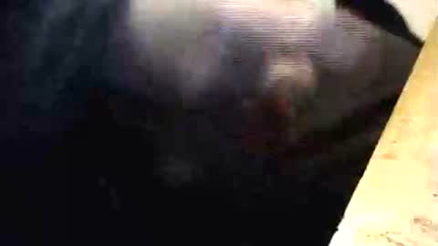 lukestarfckr online show from 03-01-26, 06:32