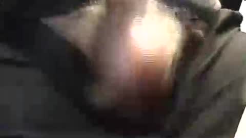 lukestarfckr online show from 05-29-26, 01:53