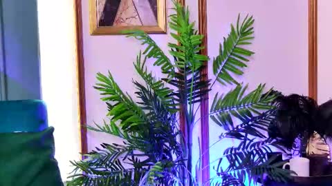 Luna online show from 02-20-26, 06:37