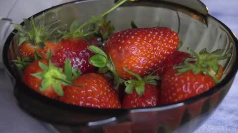 Snapshot of luntiki chatting on 05-15-26, 10:50 Amelia online show from 05-15-26, 10:50