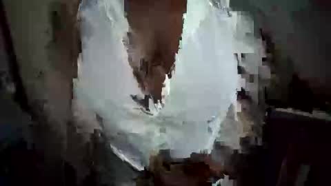 Snapshot of lustinshadows chatting on 10-20-25, 12:22 Nessy online show from 10-20-25, 12:22