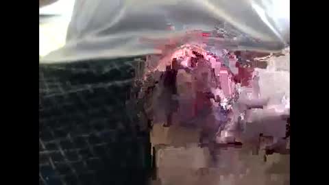 Snapshot of lutorres chatting on 09-19-25, 11:55 lutorres online show from 09-19-25, 11:55