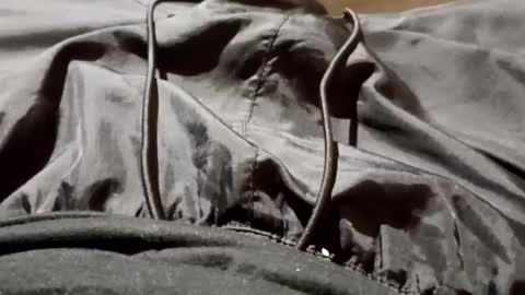 Lvac11 online show from 09-26-25, 11:25