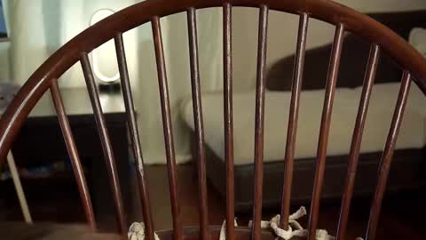 hi im Lyle online show from 02-27-25, 06:18