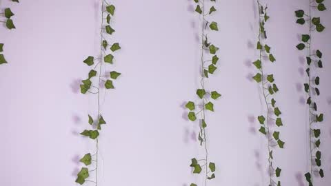 Lyly   online show from 09-27-25, 08:19