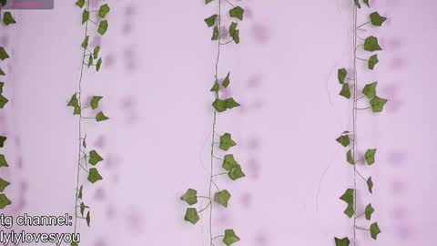 Lyly   online show from 11-18-25, 05:34