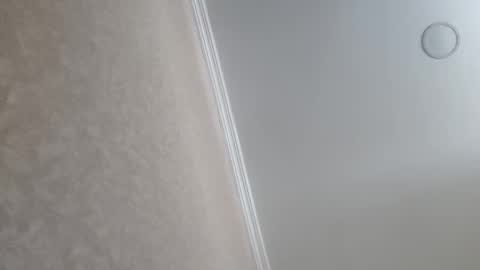 Snapshot of machine2291 chatting on 02-23-26, 09:39 Tchia online show from 02-23-26, 09:39