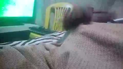 mad415264 online show from 11-24-25, 03:50