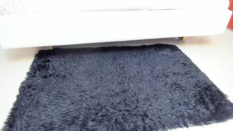 Madame Carla  online show from 04-06-26, 12:06