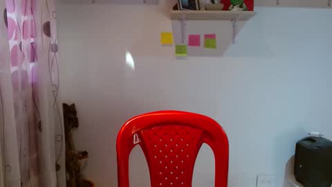 Madison Cambel online show from 01-29-25, 10:11